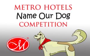Hotels for dogs