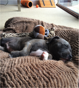 Sleeping on the bean bag