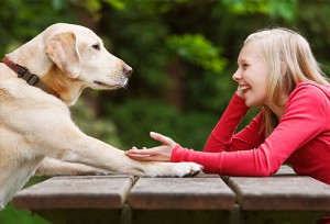 talking-to-dog