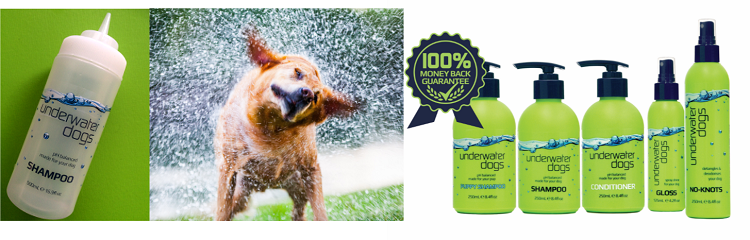How to wash your dog x3 blog images 750x240