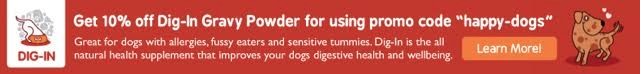 how to identify if dog has food intolerance or dog allergy