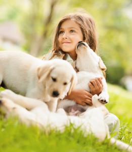 Little Girl Playing With Puppies