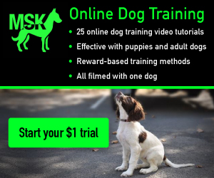Online Reward Based Dog Training