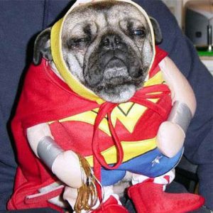 dog costume fail