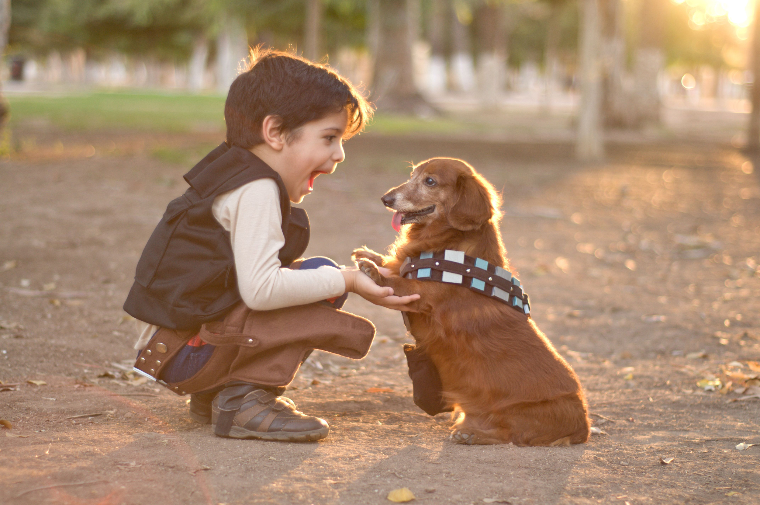 Dogs and children