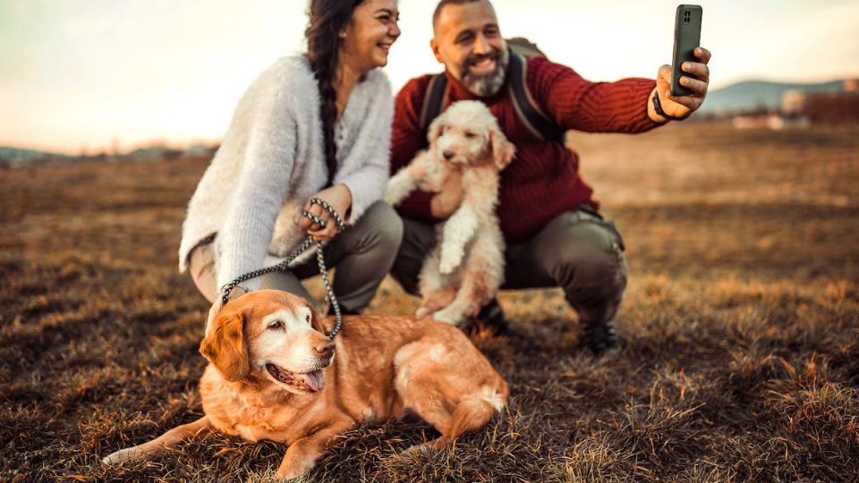 couple-and-dog